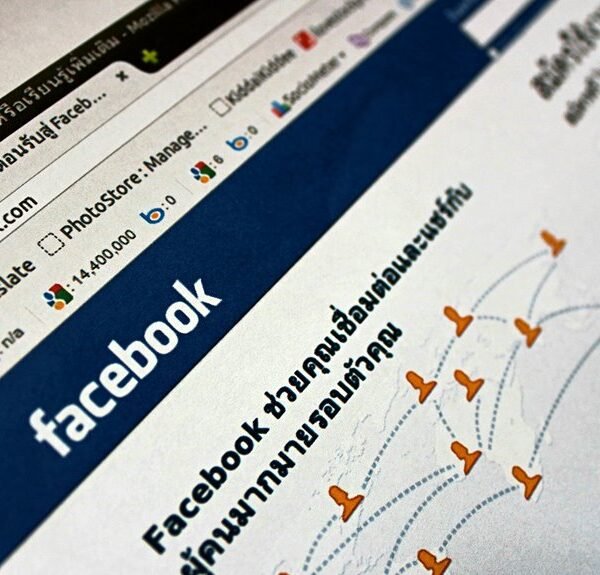 professional web platform for stability